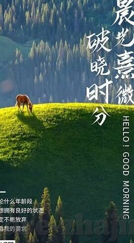 mk体育网球-MK体育网球，技术与策略并进的竞技舞台