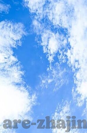森林舞会名牌-森林舞会名牌，自然与文化的交响曲